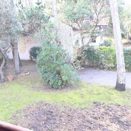 Ref 141 ,Seignosse Les Bourdaines , Villa Bouharde Classee 3 Etoiles, A 600 M Plage, 10 Personnes ภายนอก รูปภาพ